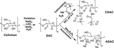 Evaluation of Anionic and Cationic Pulp-Based Flocculants With Diverse Lignin Contents for Application in Effluent Treatment From the Textile Industry: Flocculation Monitoring